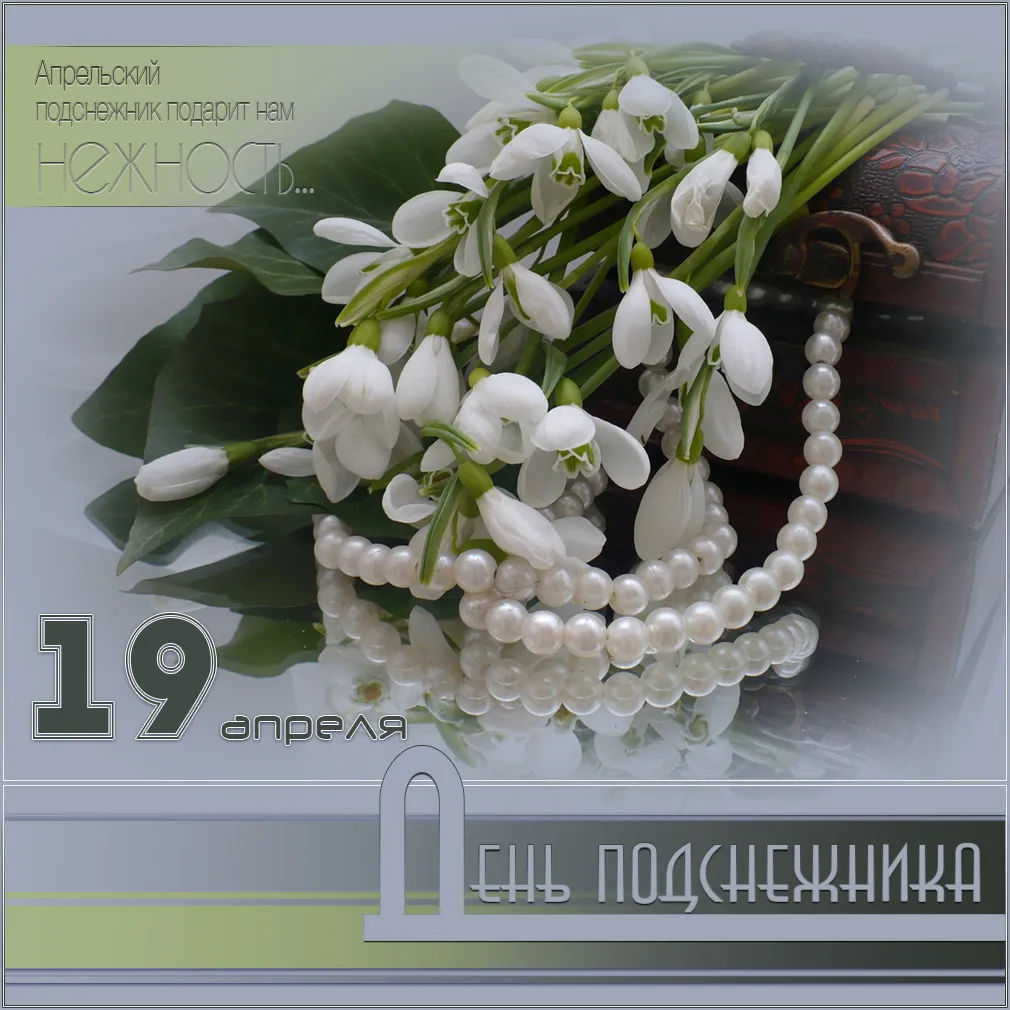 Открытка День подснежника - Открытка с подснежниками и бусами | Красивая открытка #34