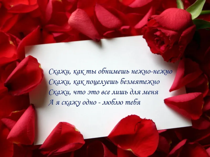 Открытка Стихи о любви - Открытка с красными розами на белом фоне | Красивая открытка #41
