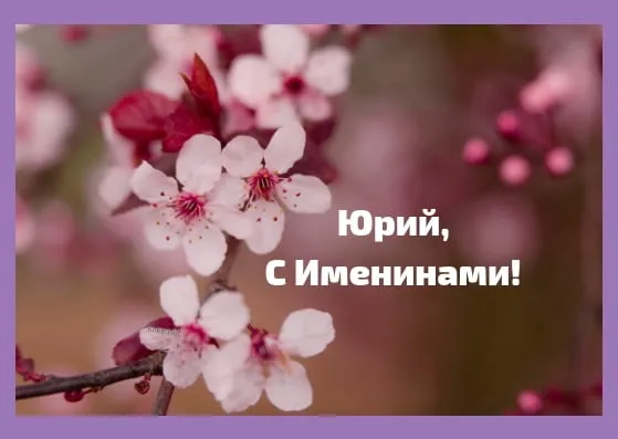 Открытка Открытки с именем Юрий - Цветущая вишня: Открытка с Днём рождения | Красивая открытка #174