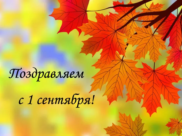 Открытка День знаний - Открытка с изображением кленовых листьев | Красивая открытка #18