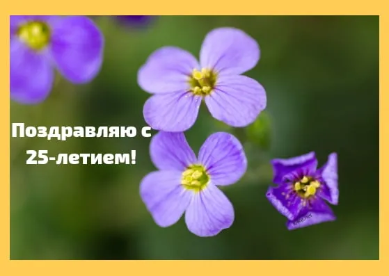 Открытка Открытки на 25 лет - Фиолетовые цветы крупным планом | Красивая открытка #129