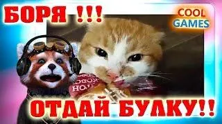 Открытка открытки с именем Борис - Смешная открытка: кот в очках и наушниках | Красивая открытка #182