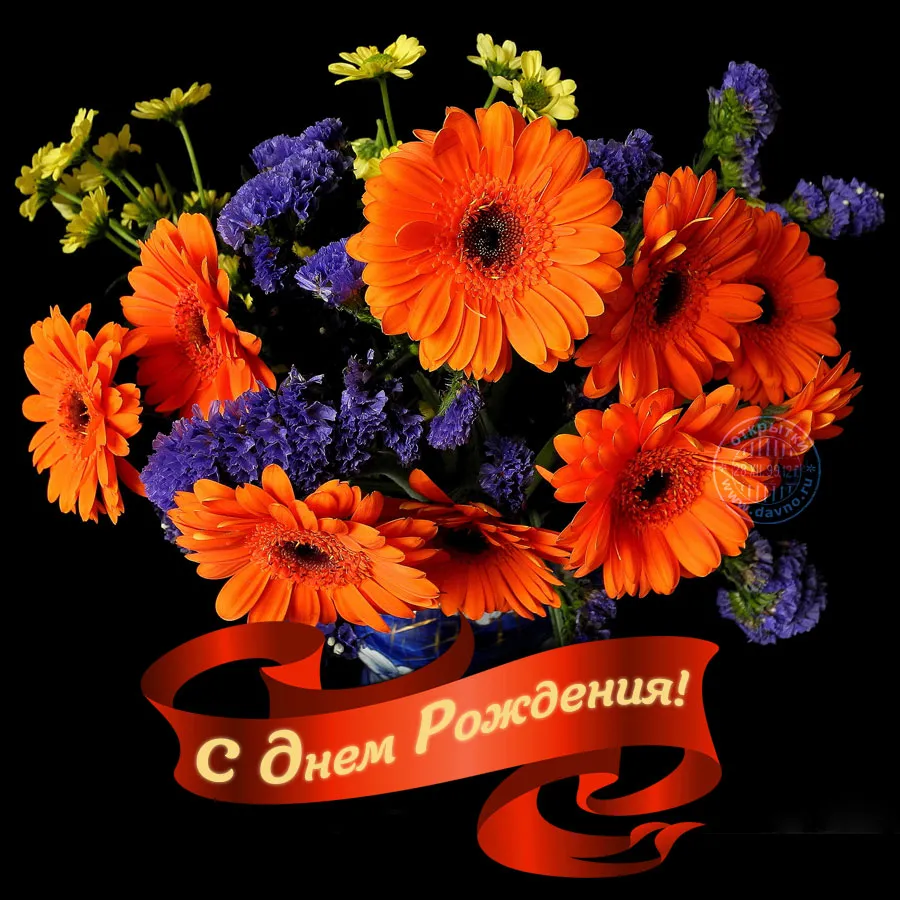 Открытка С герберами - Открытка: яркие герберы и сиреневая зелень | Красивая открытка #48