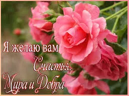Открытка Открытки желаю счастья - Розовые розы: Красивая открытка с цветами | Красивая открытка #115