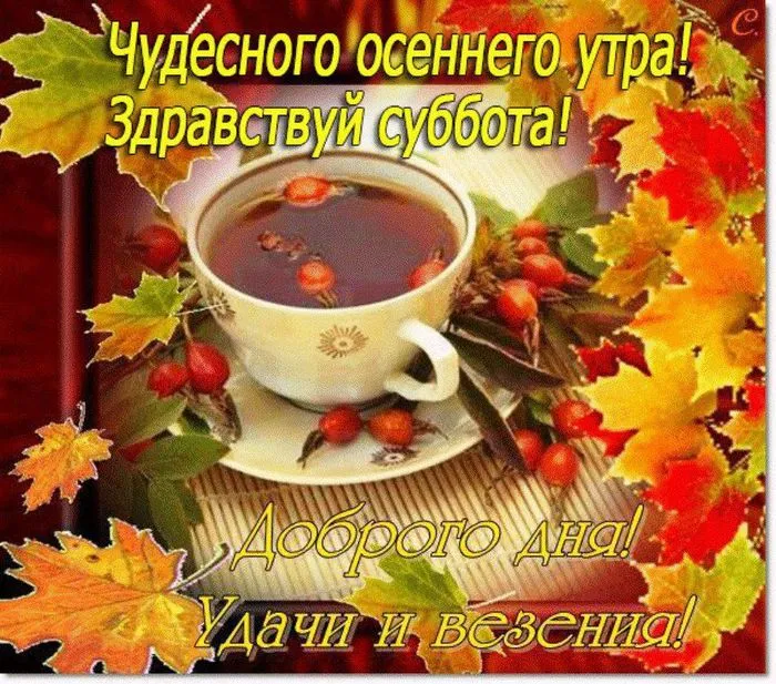 Открытка Открытки на субботу - Осенняя открытка: Чай с осенними листьями | Красивая открытка #9