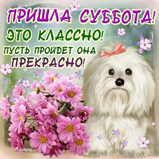 Открытка Открытки на субботу - Собака с бантом и цветами: открытка с щенком | Красивая открытка #92