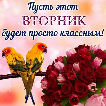 Открытка Вторник - Открытка с попугаями и розами | Красивая открытка #8