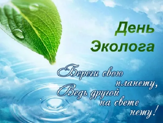 Открытка День эколога - Открытка "День Эколога": Капля росы на листе | Красивая открытка #8
