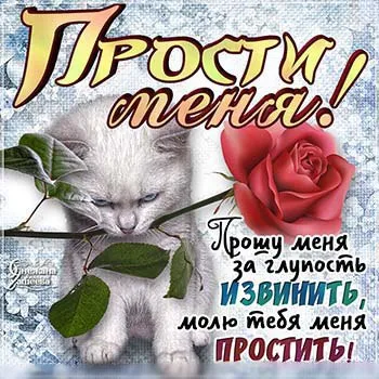 Открытка открытки с извинениями  - Открытка: Кот и роза  извини меня! | Красивая открытка #219