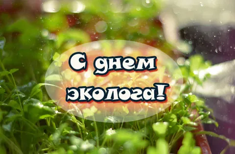 Открытка Открытки с днем эколога - Открытка: Зеленые листья, капли воды, надпись | Красивая открытка #17