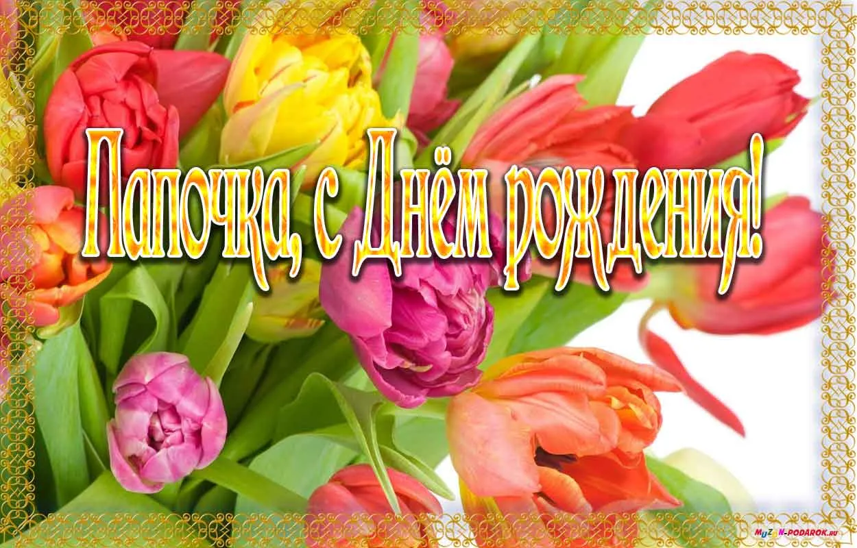 Открытка Открытки с Днем Рождения папе - Открытка с тюльпанами: яркие цветы, поздравление | Красивая открытка #28