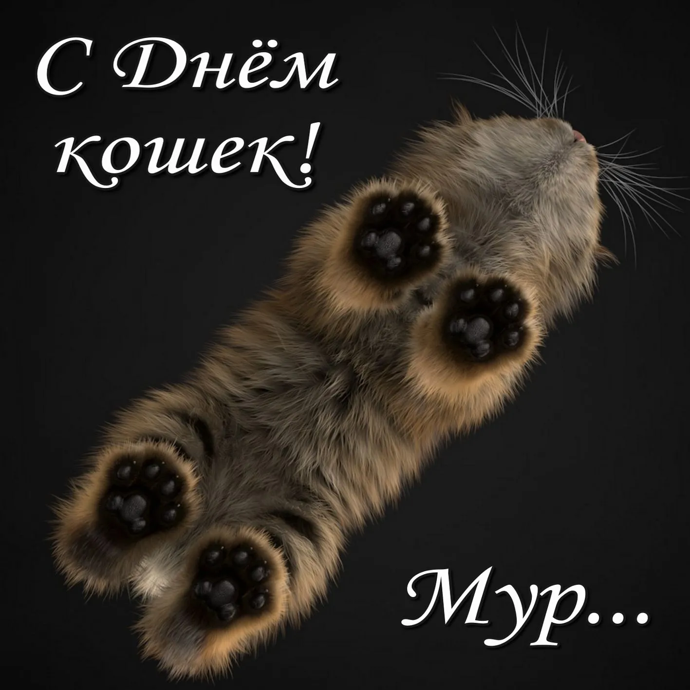 Открытка С Всемирным днём кошек - Открытка с котенком: милые лапки и пушистый хвост | Красивая открытка #7