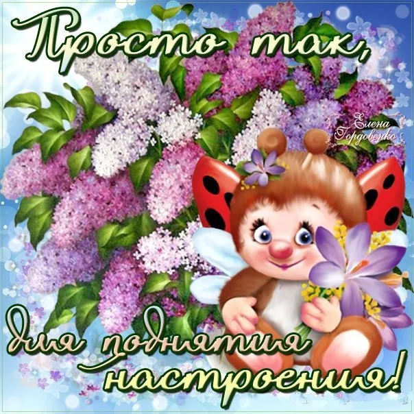 Открытка Просто так - Открытка: Ёжик с бабочкой на сирени | Красивая открытка #9