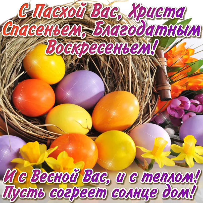 Открытка С пасхой - Яйца, подсолнухи, весна, пасхальные открытки | Красивая открытка #6
