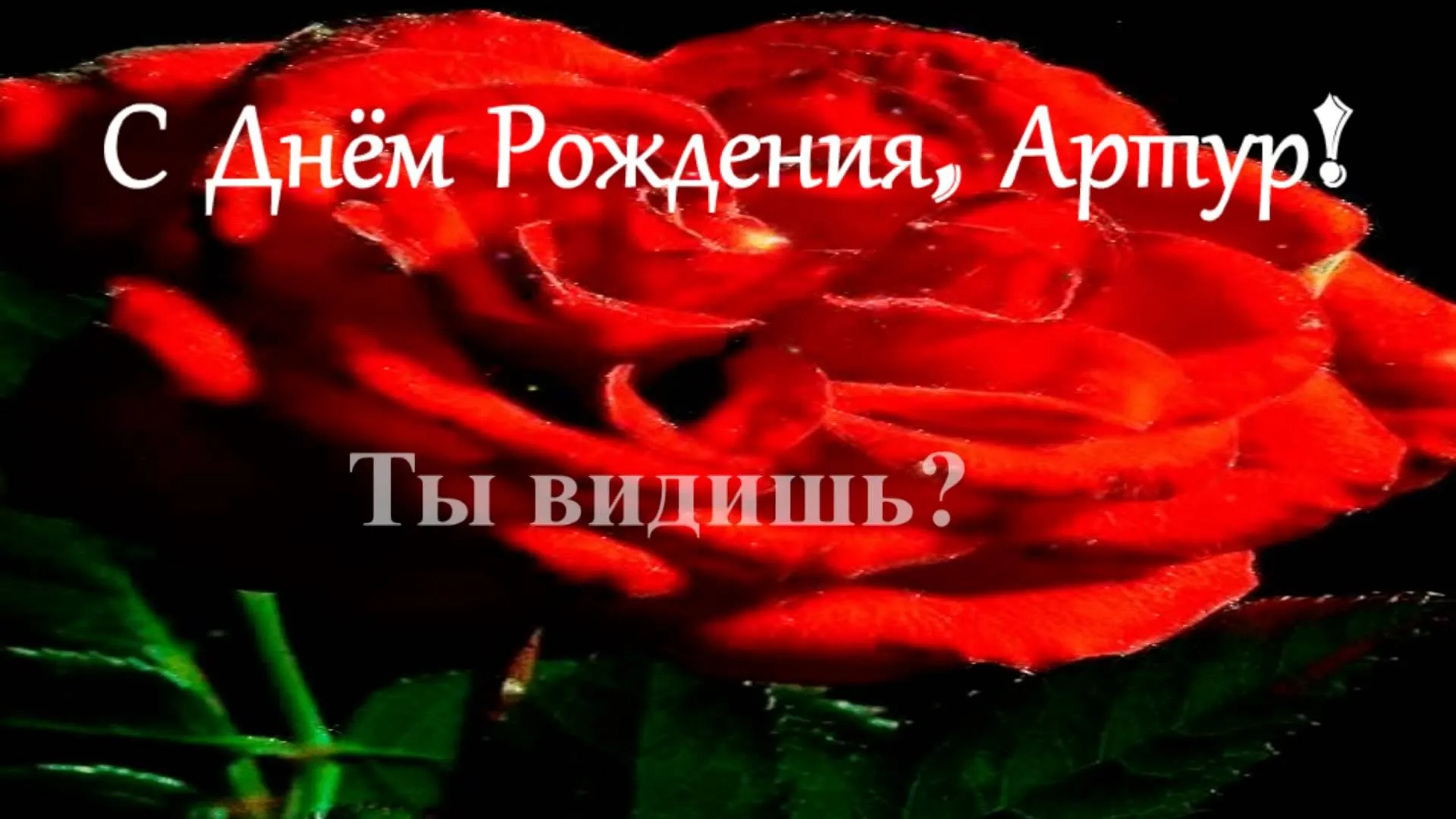 Открытка открытки с именем Артур - Красная роза: открытка с днем рождения | Красивая открытка #105