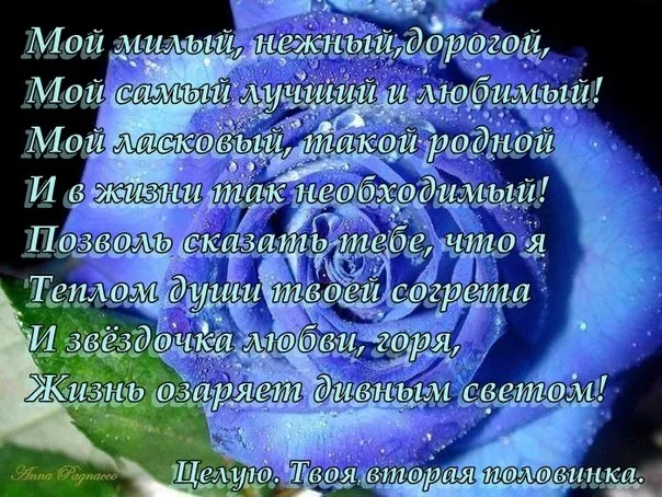 Открытка С днем рождения для мужа - Голубая роза: нежные поздравления с любовью | Красивая открытка #34