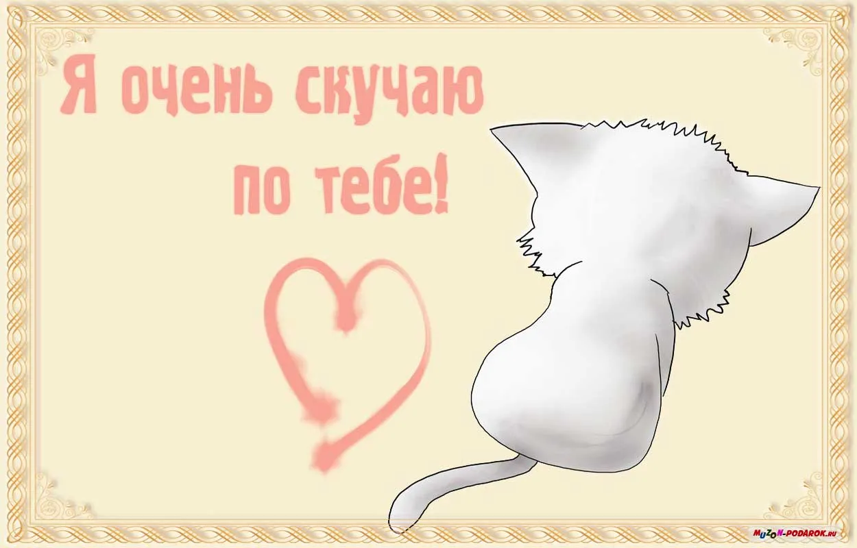 Открытка Скучаю - Открытка с котиком и сердцем  Подарок | Красивая открытка #52
