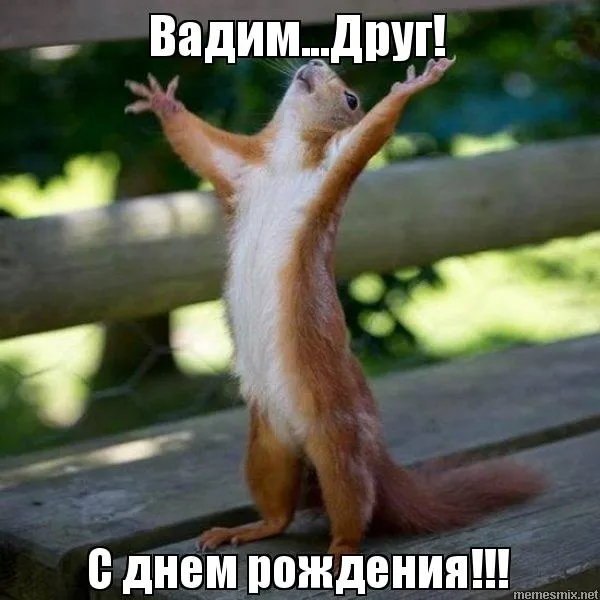 Открытка открытки с именем Вадим - Белка с днем рождения! Открытка с поздравлениями | Красивая открытка #217