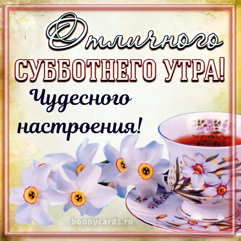 Открытка Доброе утро суббота - Открытки с цветами: нежные поздравления с днем рождения | Красивая открытка #18
