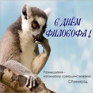 Открытка Всемирный день философии - Лемур думает: Открытка с поздравлением  С Днём Рождения | Красивая открытка #1
