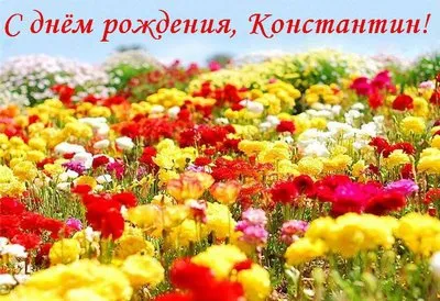 Открытка Открытки с именем Константин  - Поле цветов: красные, желтые и розовые цветы | Красивая открытка #248