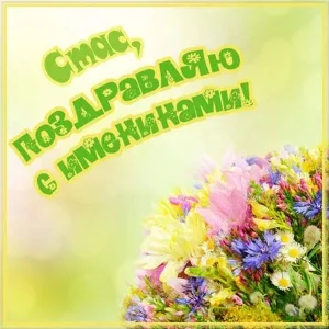 Открытка Открытки с именем Станислав  - Открытка с цветами: Розы, ромашки, маки | Красивая открытка #93