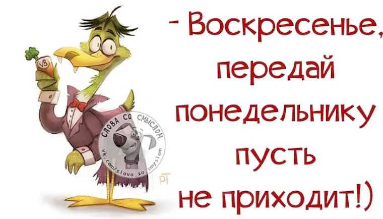 Открытка Открытки на воскресенье - Забавная открытка с попугаем в костюме | Красивая открытка #60