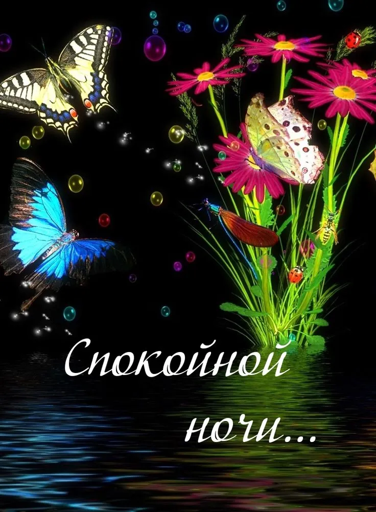 Открытка Спокойной ночи - С днем рождения! Красивые цветы и бабочки | Красивая открытка #103