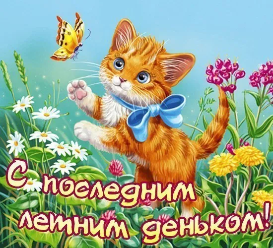 Открытка С последним днем лета! - Открытка с котенком и цветами | Красивая открытка #15
