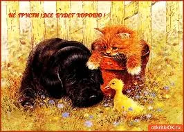 Открытка Не грусти - Щенок и котенок с утенком: милая открытка | Красивая открытка #93