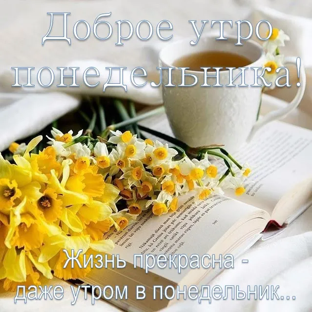 Открытка Доброе утро понедельник - Весенняя открытка: подснежники и книга | Красивая открытка #7