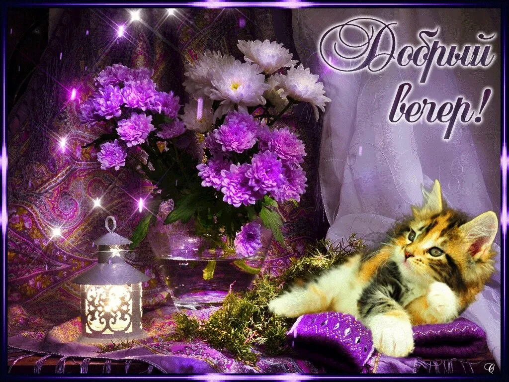 Открытка добрый вечер! - Кошка и цветы: праздничная открытка с котенком | Красивая открытка #32