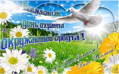 Открытка Открытки с днем эколога - Открытка с голубем и цветами | Красивая открытка #26