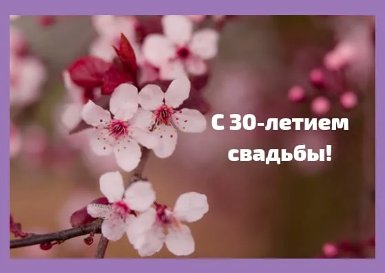 Открытка Открытки на Жемчужную свадьбу 30 лет - Цветущая вишня: Открытка с юбилеем свадьбы | Красивая открытка #85