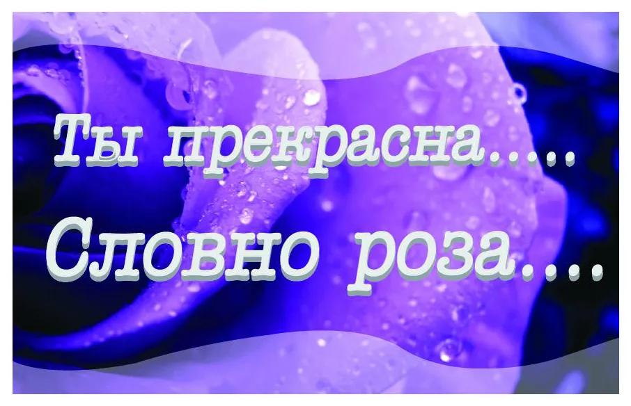 Открытка Ты прекрасна - Близок крупный план фиолетового цветка, капли воды | Красивая открытка #11
