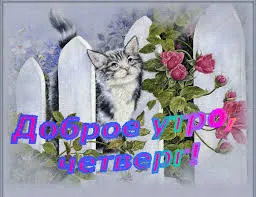 Открытка Открытки на четверг - Открытка с котенком и розами | Красивая открытка #176
