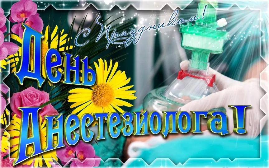 Открытка Открытки с днем анестезиолога  - Праздничная открытка: цветы, розы, подсолнухи, надпись | Красивая открытка #17