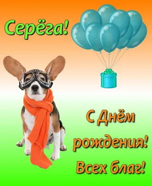 Открытка Открытки с именем Сергей - Собака в очках и шарфы: открытка с Днём рождения | Красивая открытка #168