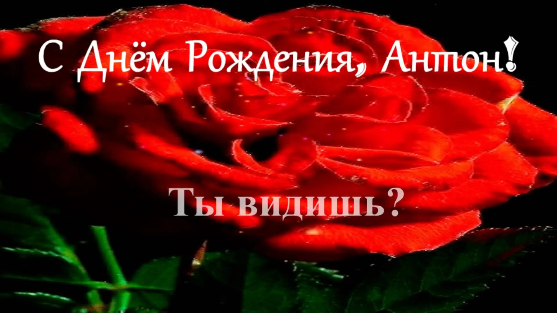 Открытка открытки с именем Антон  - Красная роза: открытка с цветами | Красивая открытка #124