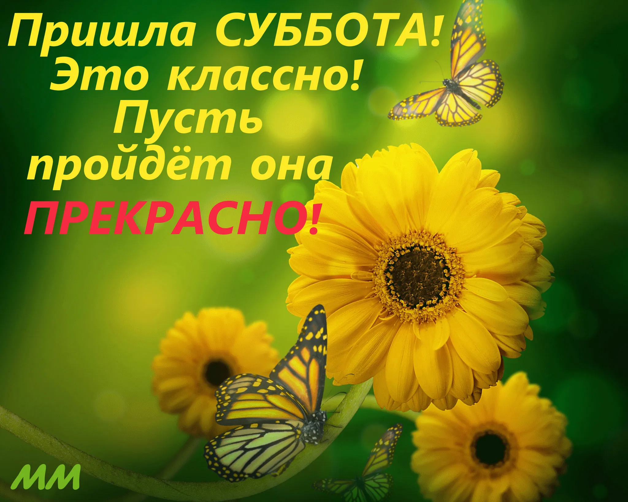 Открытка Выходные - Яркие цветы и бабочки: открытка с природой | Красивая открытка #32