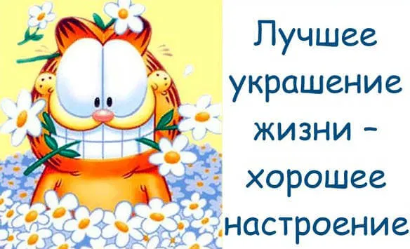 Открытка Прикольные пожелания - Котик Гарфилд с ромашками  открытка | Красивая открытка #21