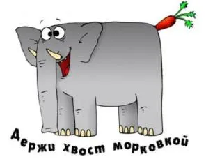 Открытка Прикольные пожелания - Смешная открытка: слон держит морковь за хвост | Красивая открытка #22