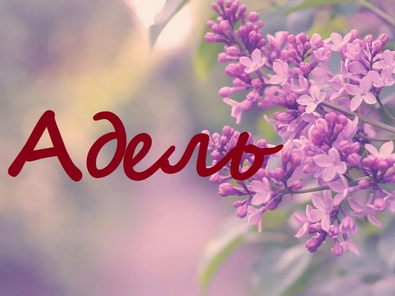 Открытка Открытки с именем Адель - Весенние цветы сирени: открытка с нежностью | Красивая открытка #17