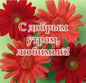 Открытка Пожелания любимым - Открытка с красными цветами: С добрым утром! | Красивая открытка #30