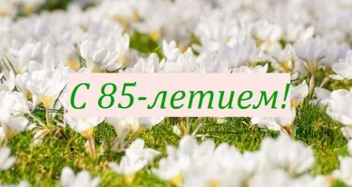 Открытка Открытки на 85 лет - Поле с ромашками: открытка с цветами | Красивая открытка #58