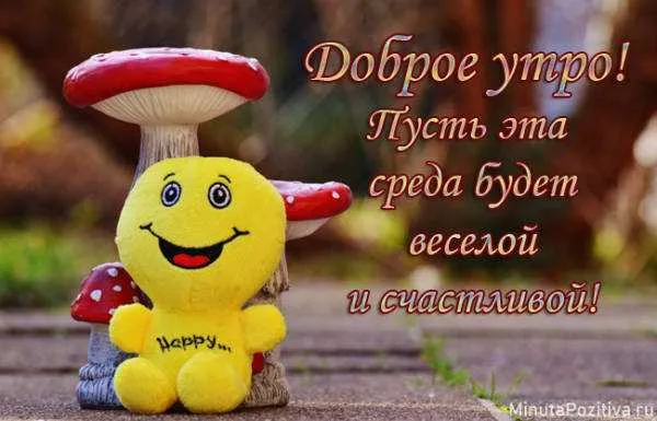Открытка Открытки на среду - Открытка с грибочком: Поздравительная картинка | Красивая открытка #89