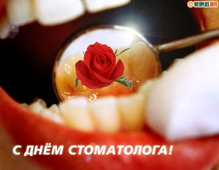 Открытка Открытки с днем стоматолога - С Днём стоматолога: Красная роза на зубах | Красивая открытка #33
