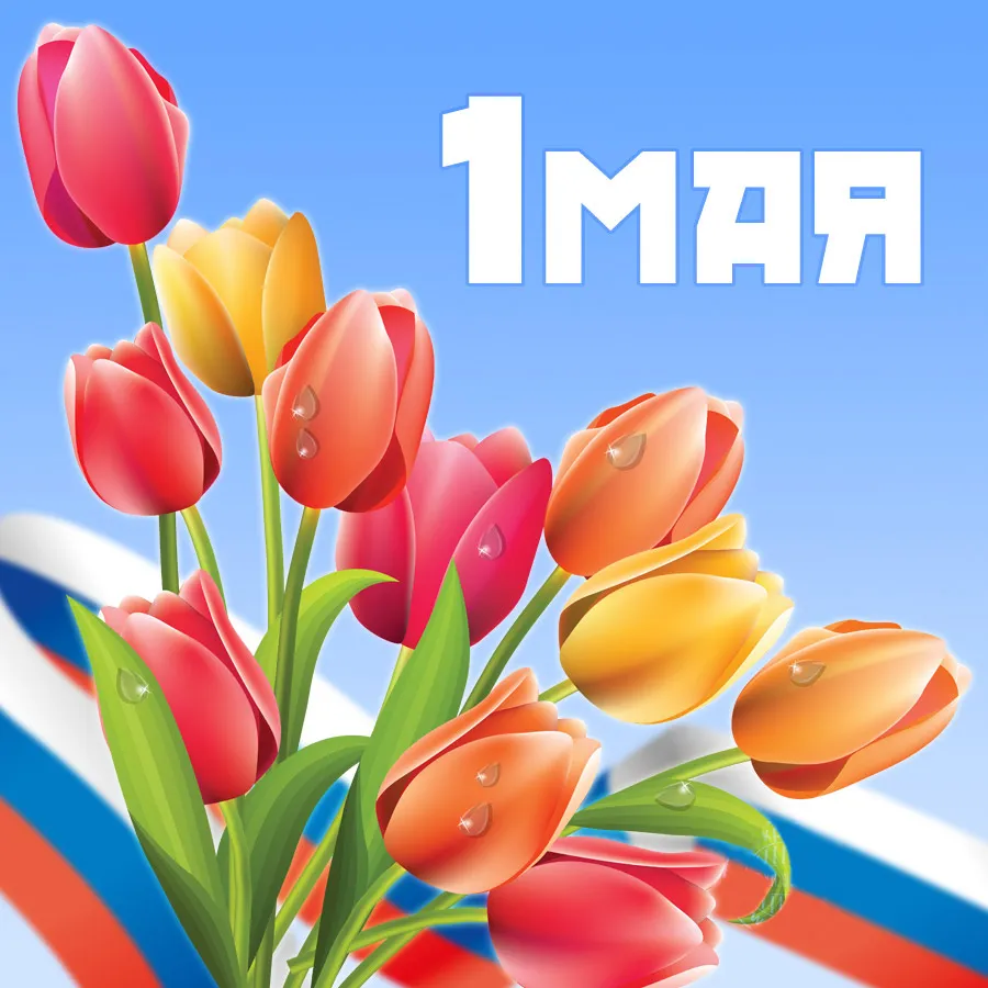 Открытка 1 мая - Открытка с тюльпанами на фоне российского флага | Красивая открытка #248