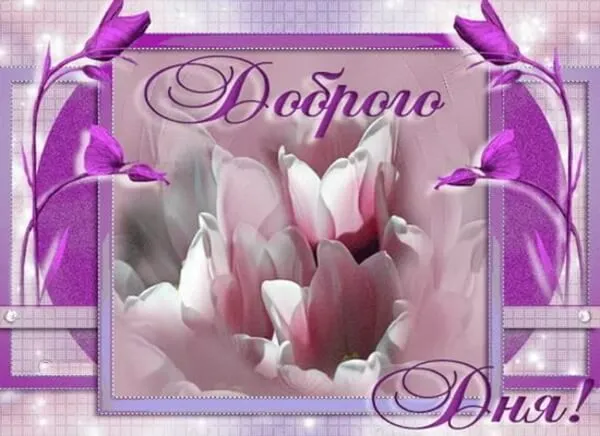 Открытка добрый день - Открытка с цветком: поздравления с Днем рождения | Красивая открытка #129