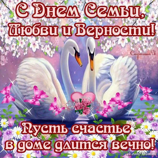 Открытка С лебедями - Открытка с лебедями: С Днем Семьи, Любви и Верности! | Красивая открытка #29